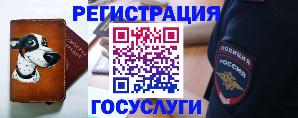 временная регистрация в квартире в Гуково